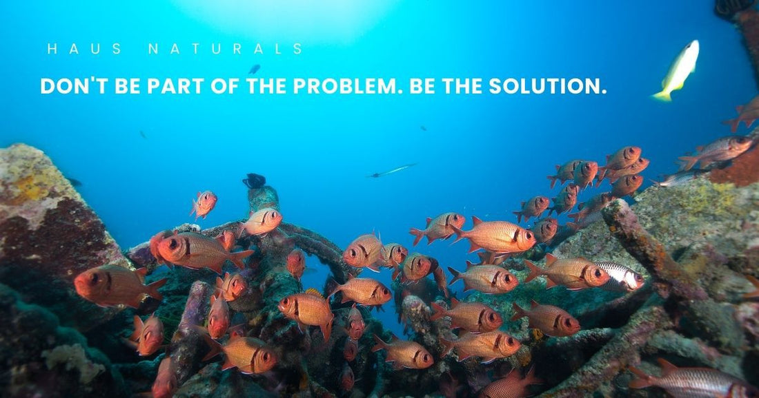 eco-friendly cleaning solutions