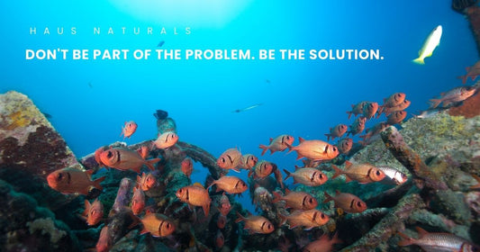 eco-friendly cleaning solutions