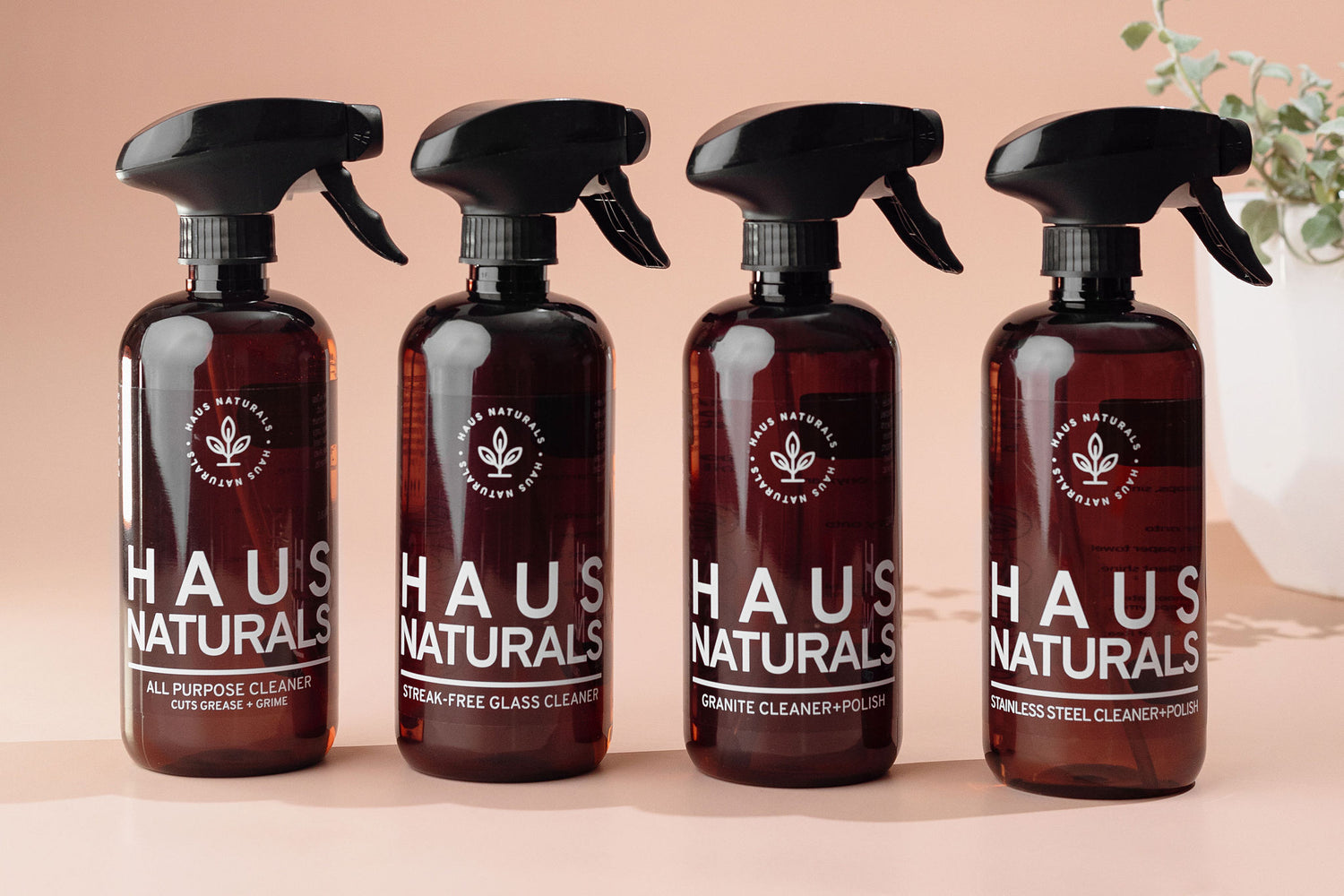 Haus Naturals natural cleaning products